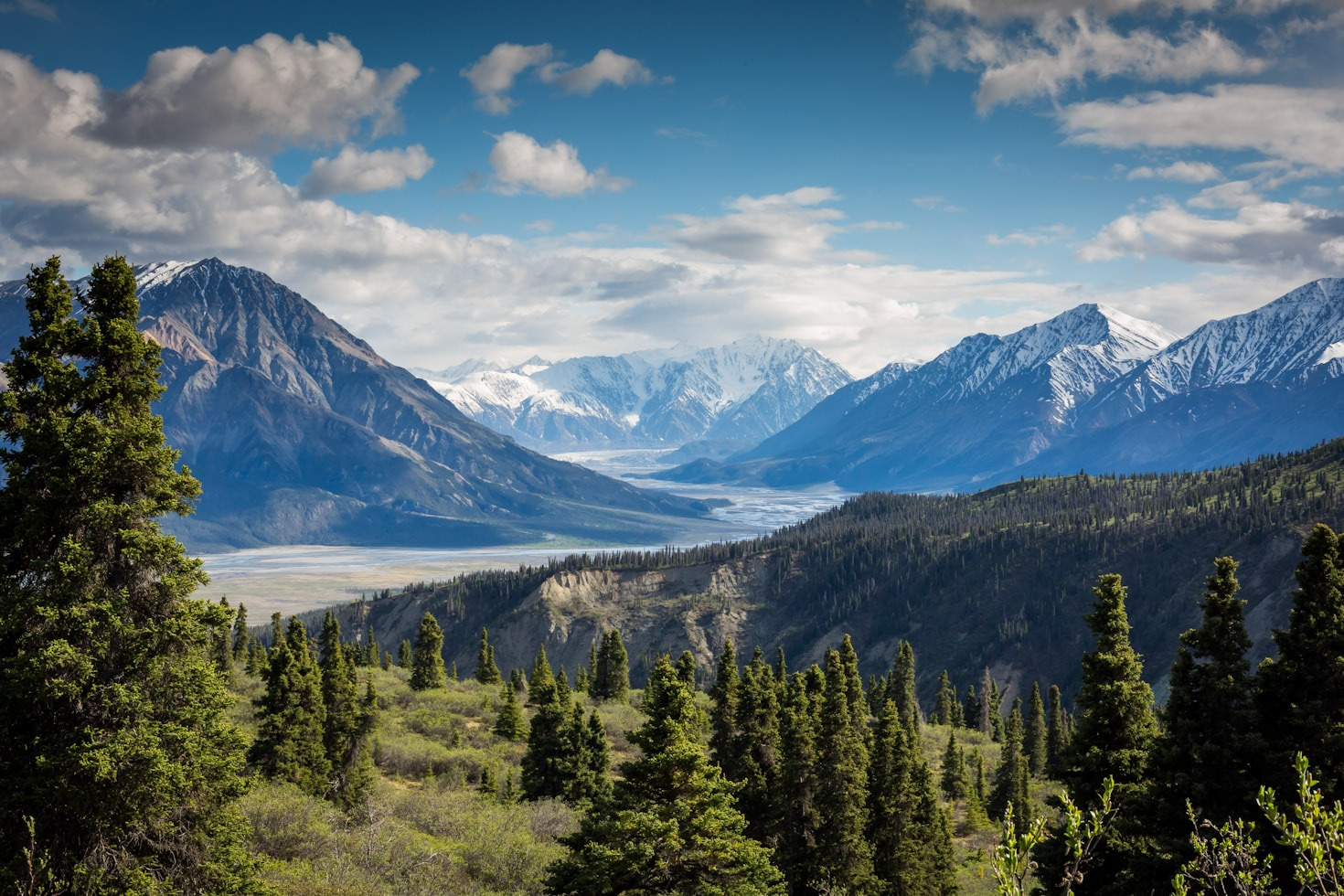 The Art of Packing for Every Adventure